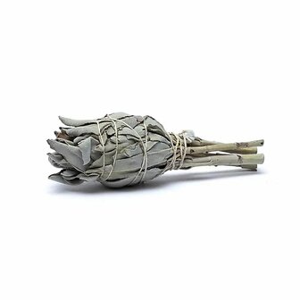 witte salie smudgestick klein